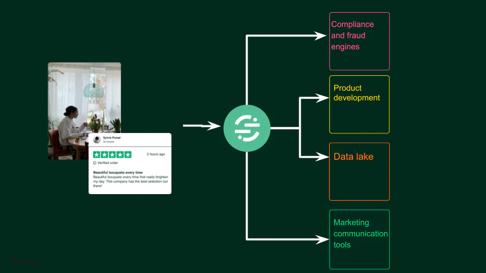 Diagram illustrating how a customer review is utilized in compliance, product development, data lake, and marketing.